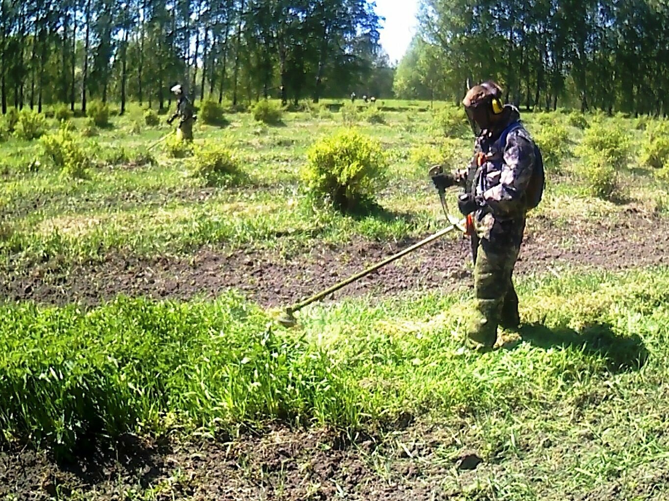 покос травы, разминирование, разминирование территории, покос бурьяна, уборку мусора, сухой растительности и покос травы