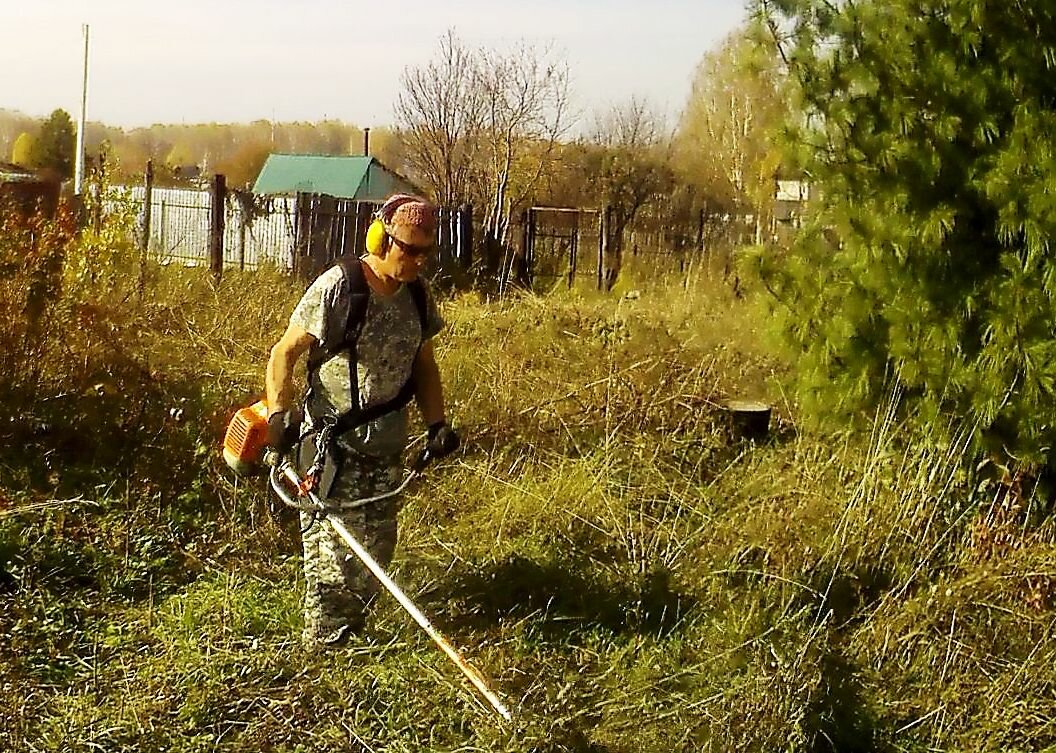покос травы на участке, покос травы, покос бурьяна, покос травы спб, покос сухой травы