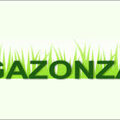 Gazonza
