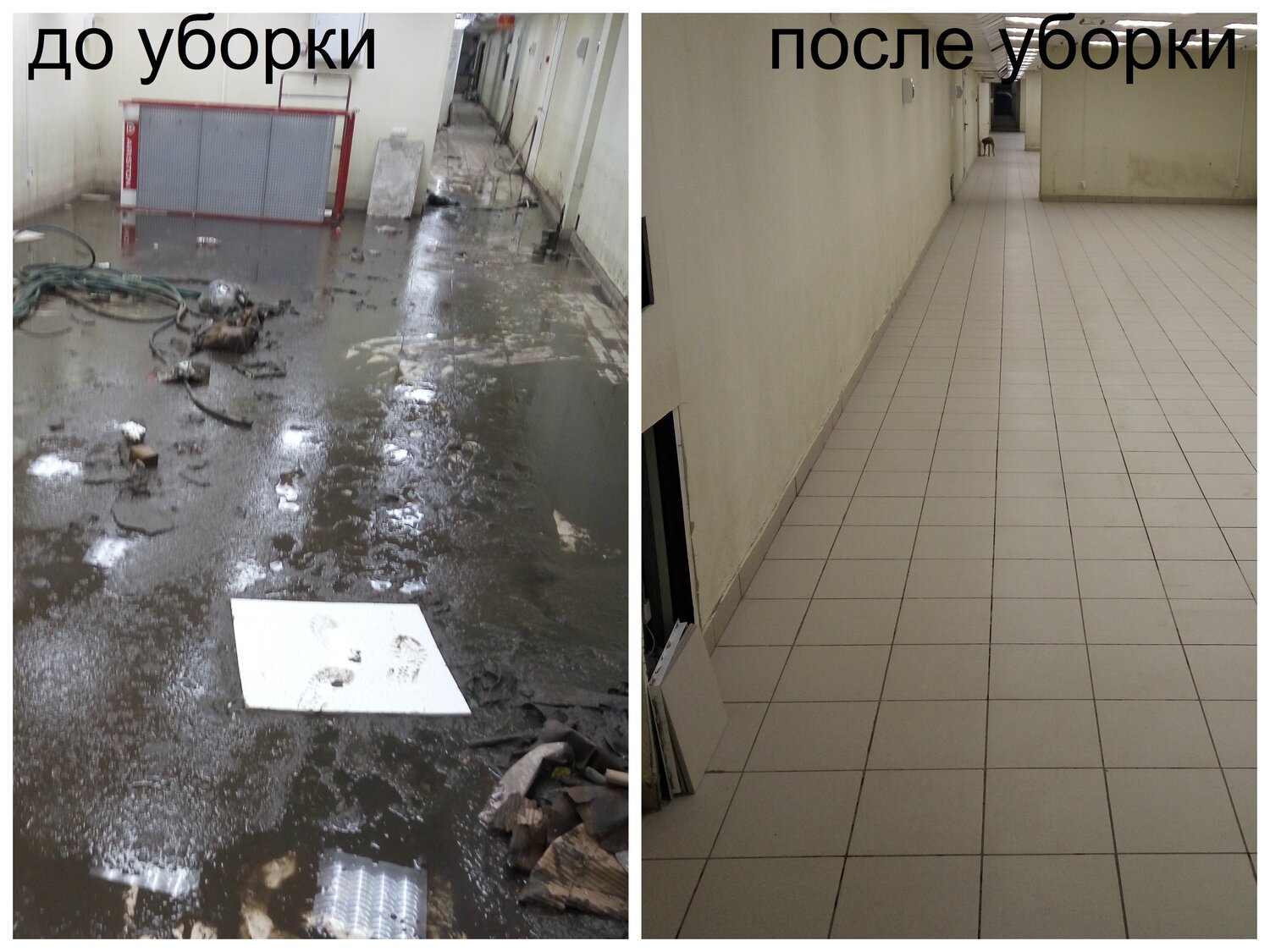 пол, стяжка пола, покрытие, в гараже, стяжка