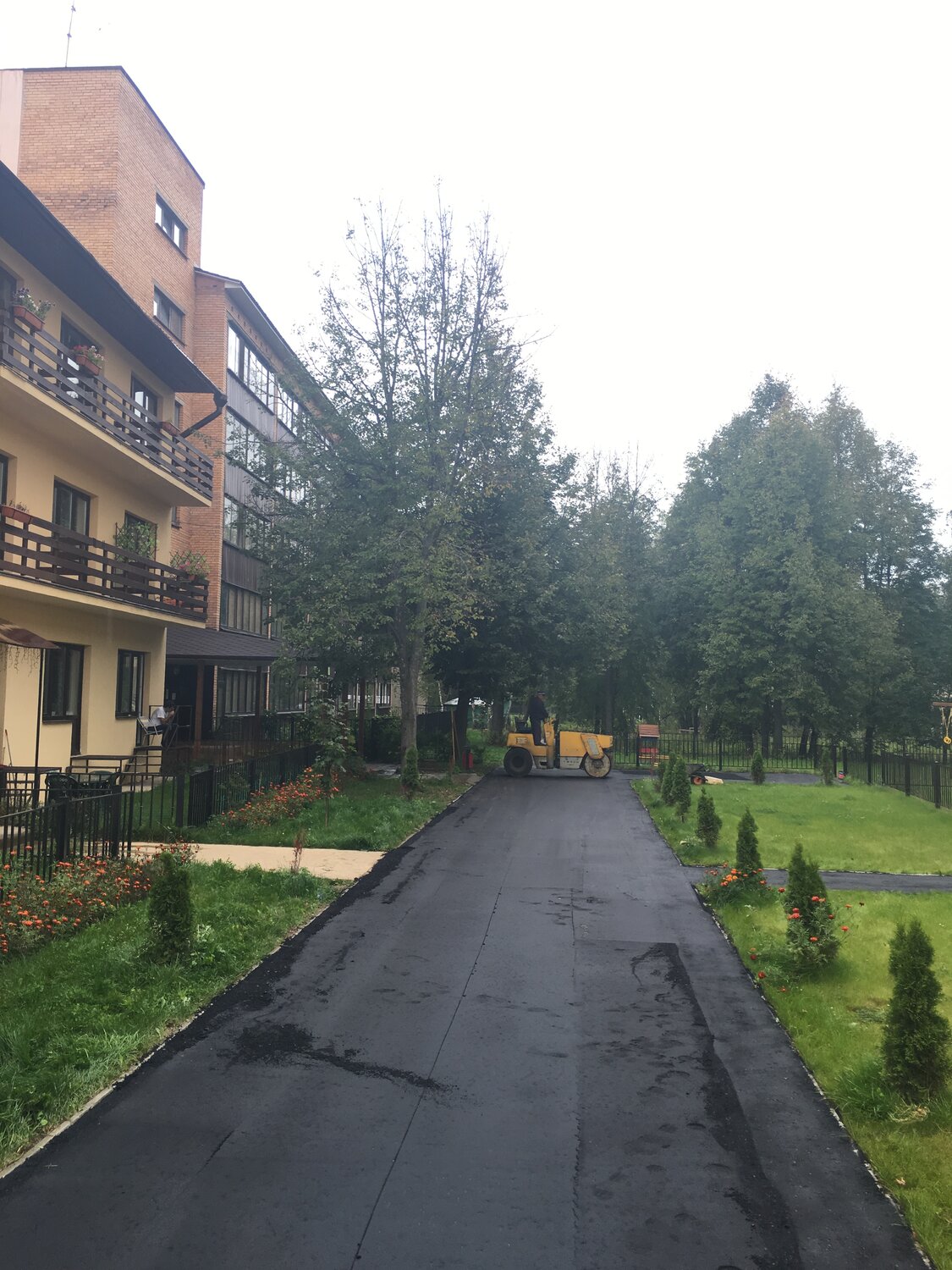 посёлок зеленоградский пушкинский район, улица, жуковка московская область пушкинский район, пятерочка поселок зеленоградский пушкинский район, двор