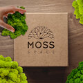 Mossspace