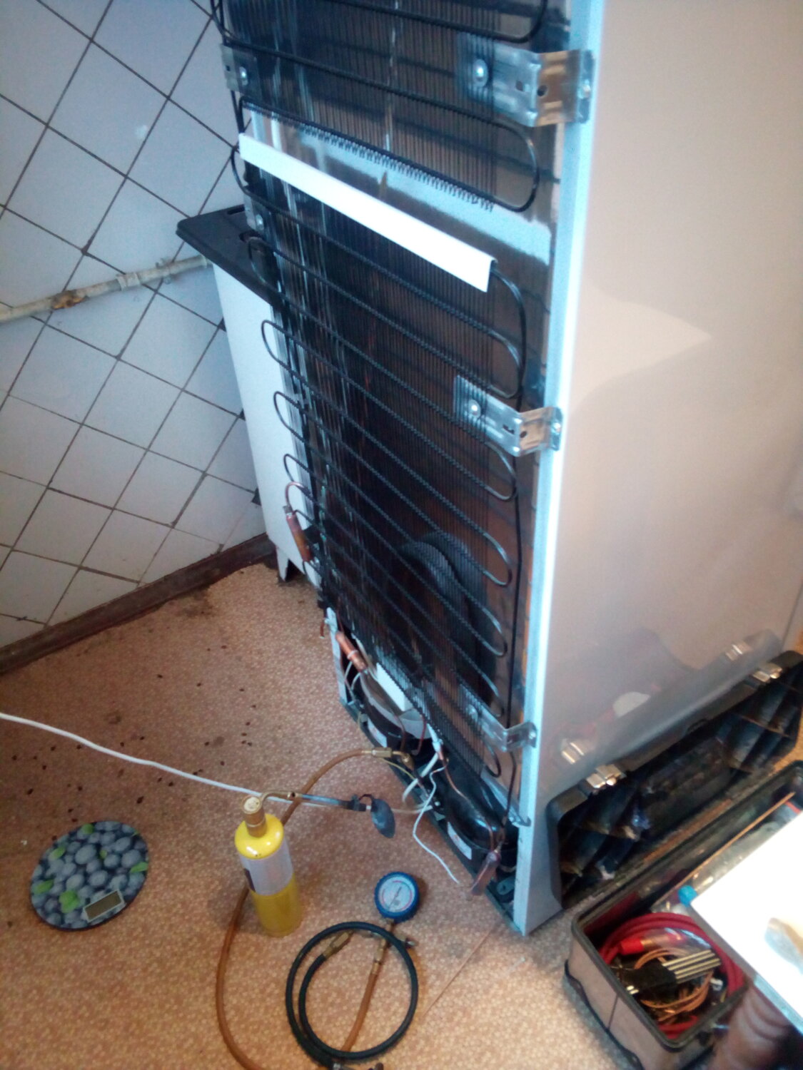 бытовая техника, холодильник, бытовая техника холодильник, бирюса 649 задняя стенка, техника