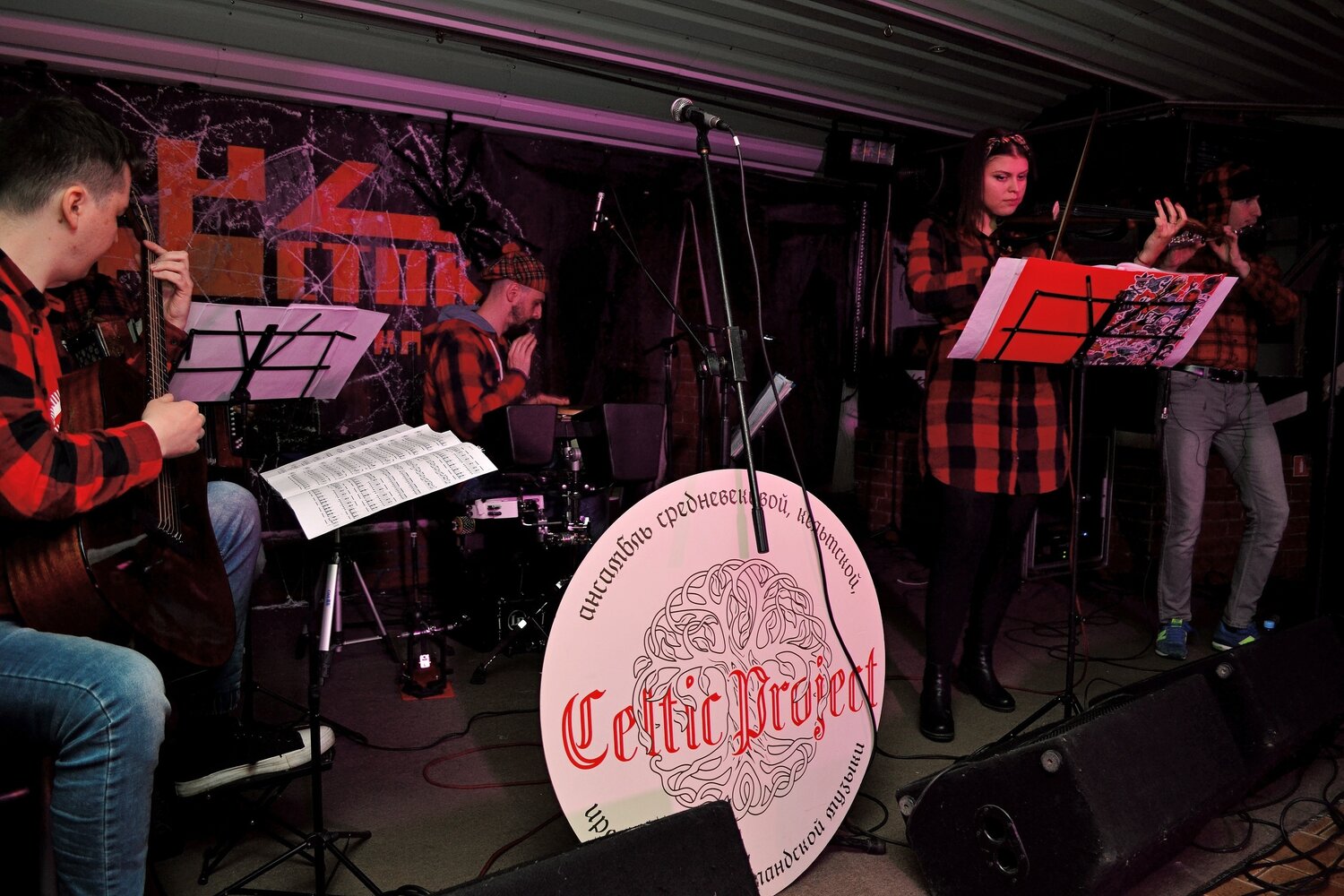 музыкальный фестиваль, концерт, человек, джаз, celtic project группа