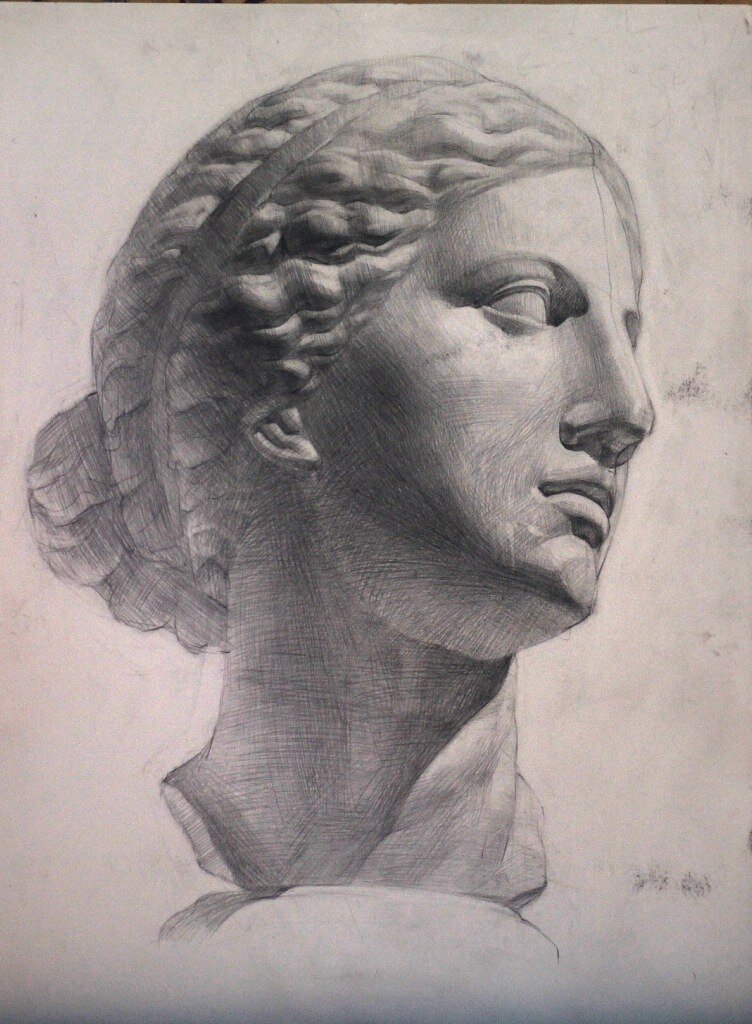 афродита голова гипсовая мархи, гипсовая голова афродита книдос, рисунок гипсовой головы венеры мархи, гризайль портрет гипс афродита книдская, архитектурный рисунок гипсовой головы осмоловская