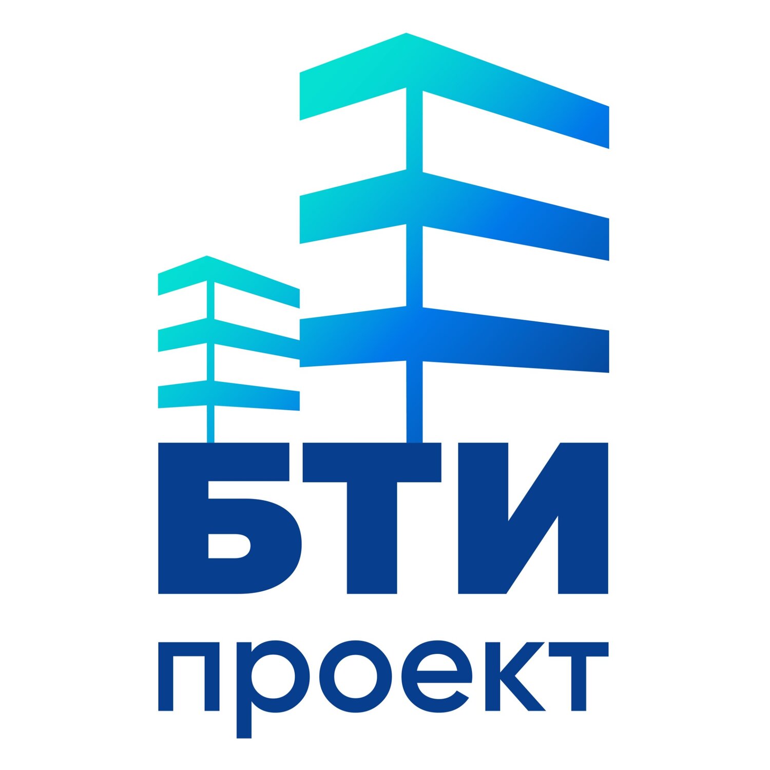 БТИ-проект