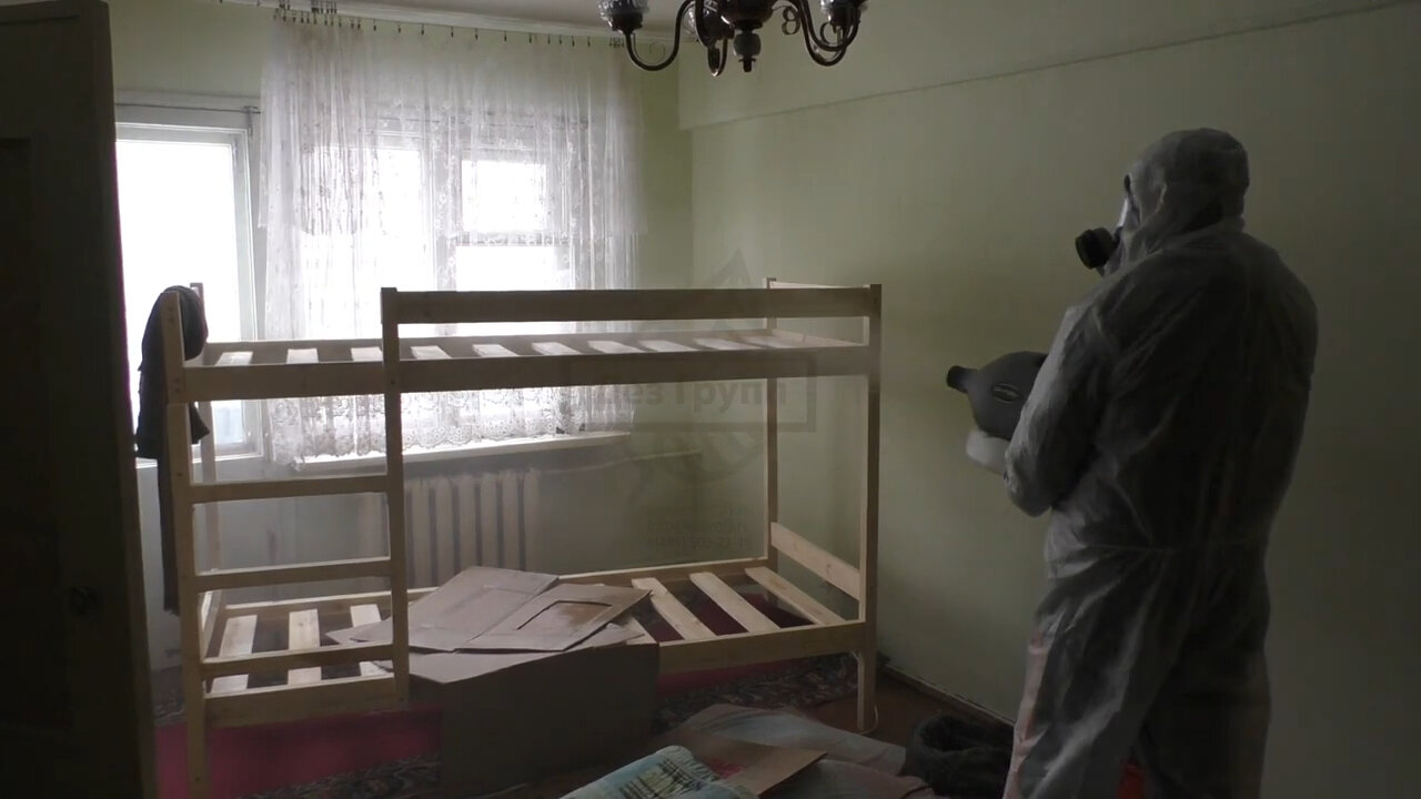 обработка от клопов, дезинфекция от клопов в квартире, уничтожение клопов, дезинфекция от клопов ижевск, дезинфекция от клопов