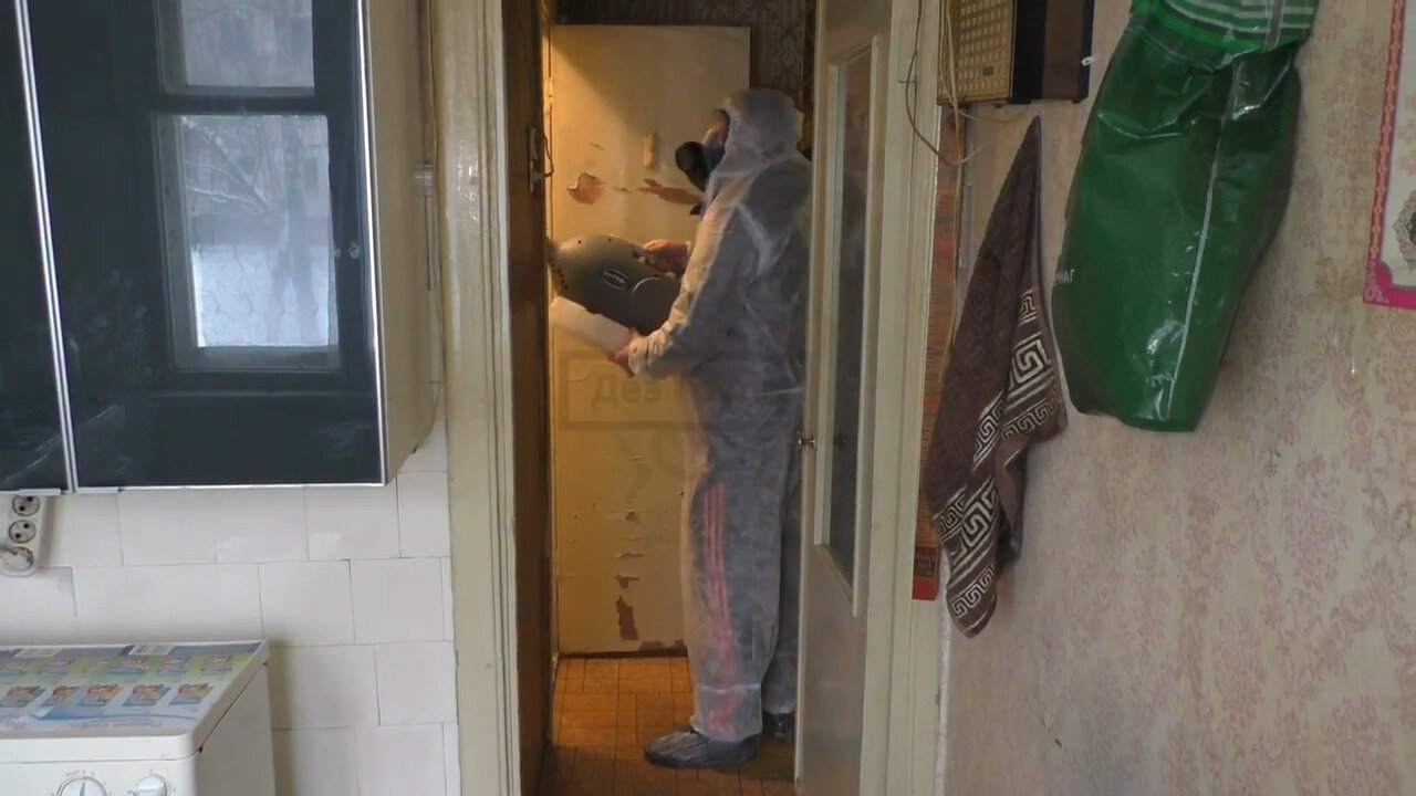 санитарная обработка, дезинсекция, уничтожение клопов, дезинсекция квартиры, обработка от тараканов