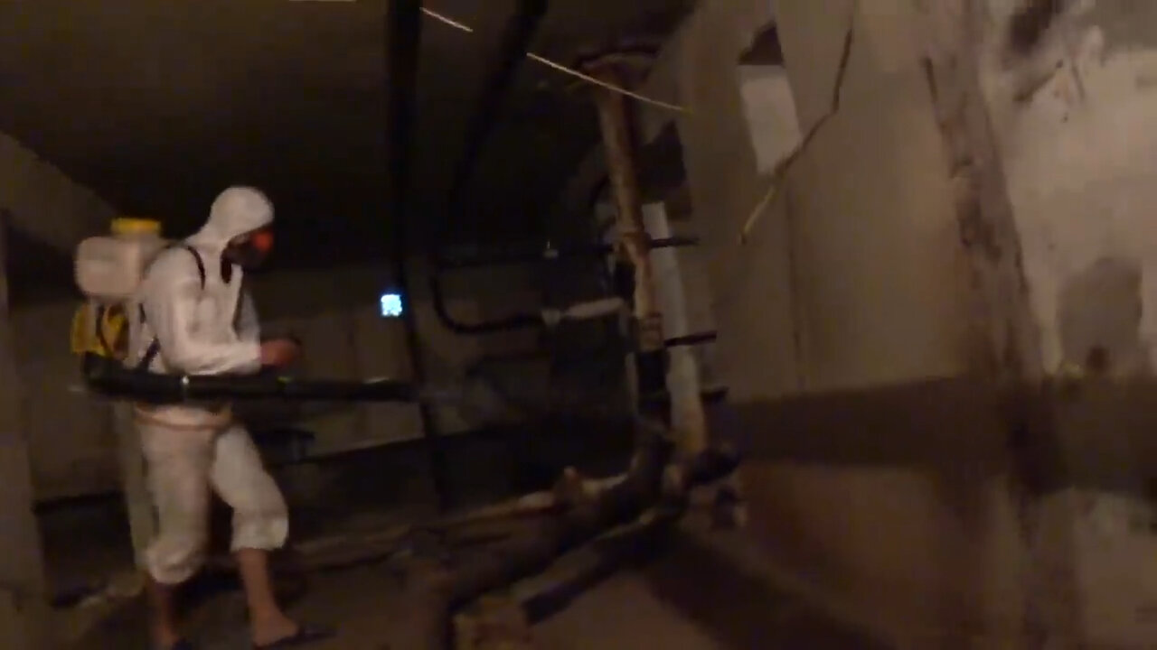 подвал, дезинсекция, дезинсекция подвалов, дезинфекция, дератизация и дезинсекция