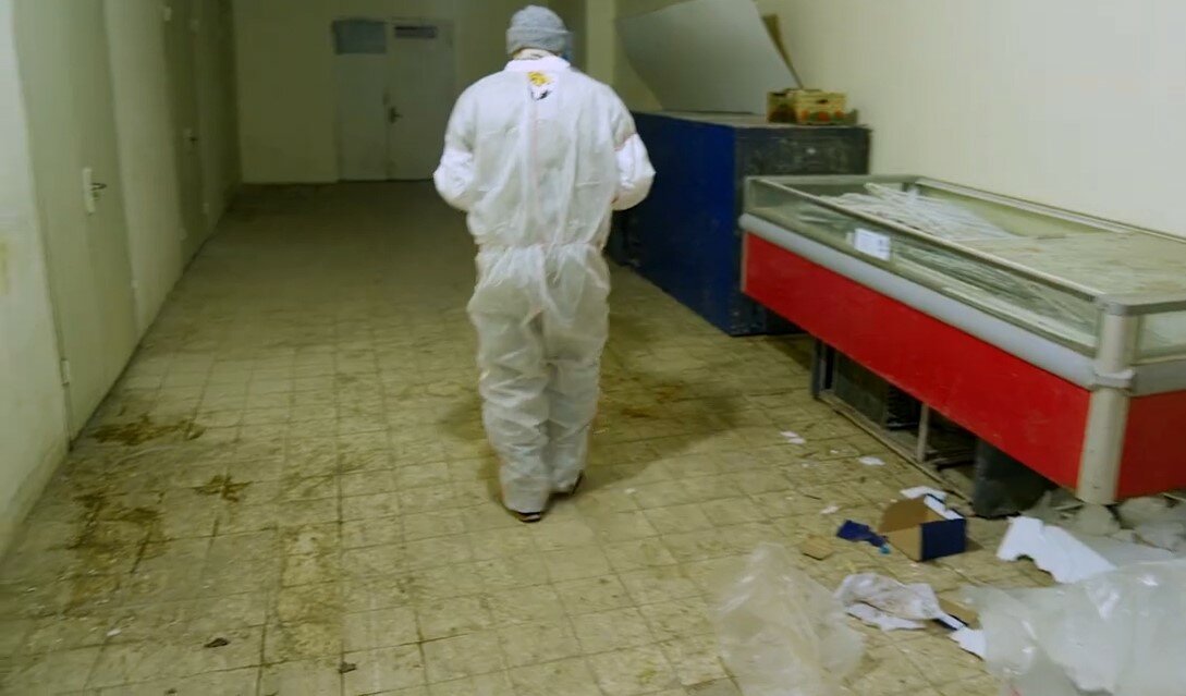 дезинфекции, дезинфекция дезинсекция дератизация, дезинсекция, дезинфекция и дезинсекция, дезинфекция помещений