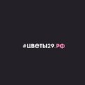 Цветы29.рф Цветы 29