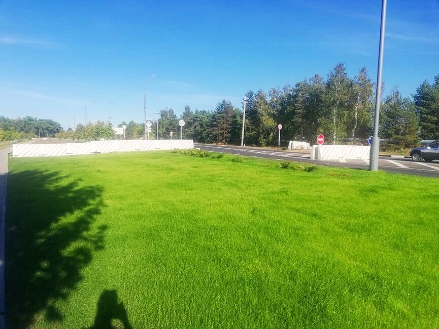 улица, футбольное поле новомосковск, газон, участок, поле