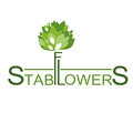 Stabflowers