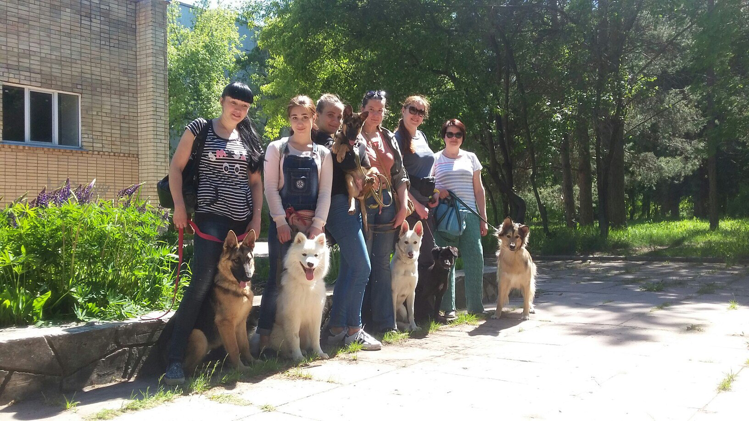 брянский клуб собаководства, клуб служебного собаководства, кинологические клубы подмосковья, кинолог новосибирск, кинологический клуб калуга