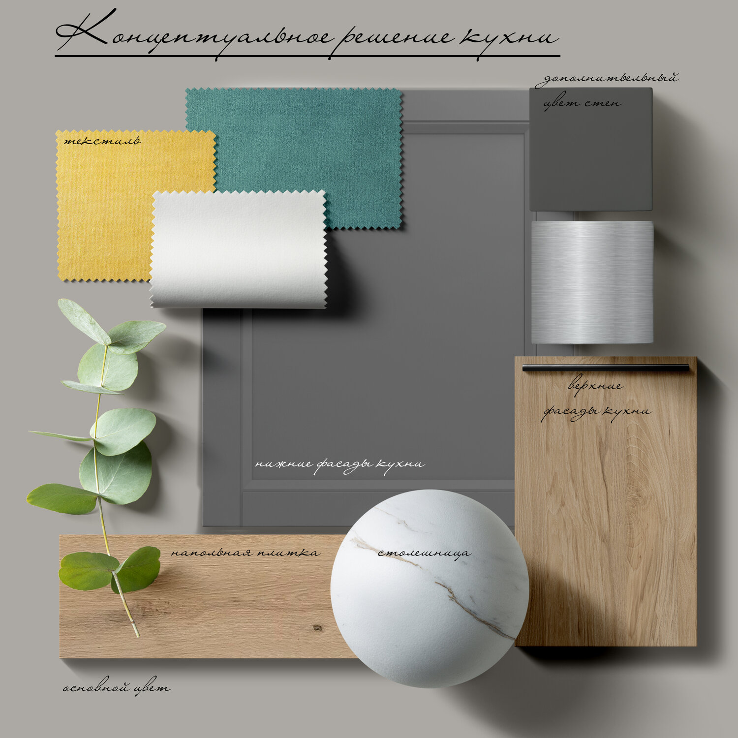 листья эвкалипта, эвкалипт на белом фоне, постер ветка эвкалипта в хорошем разрешении, ветка эвкалипта на столе сверху, eucalyptus 4 poster