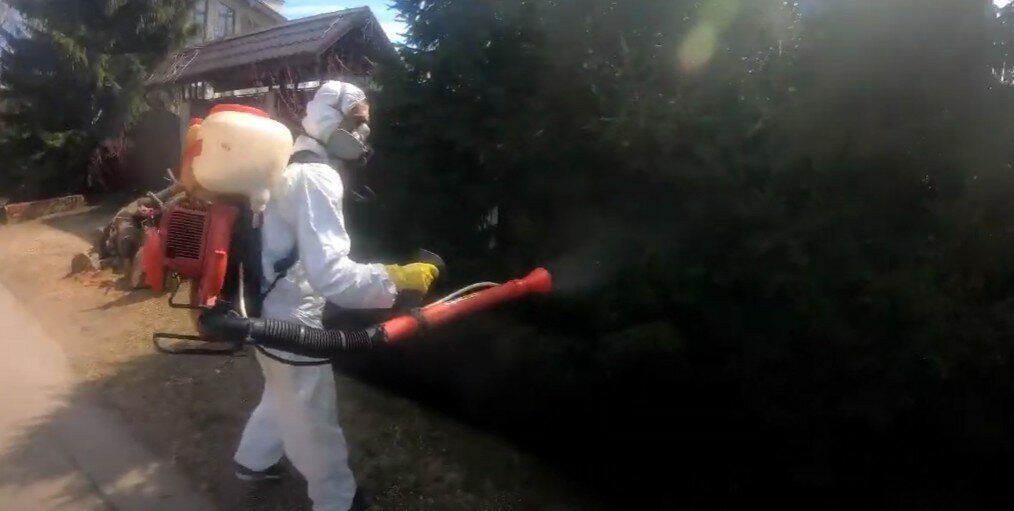 дезинсекция, дезинсекция комаров, дезинфекция дезинсекция дератизация, дезинсекция и дератизация, уничтожение насекомых