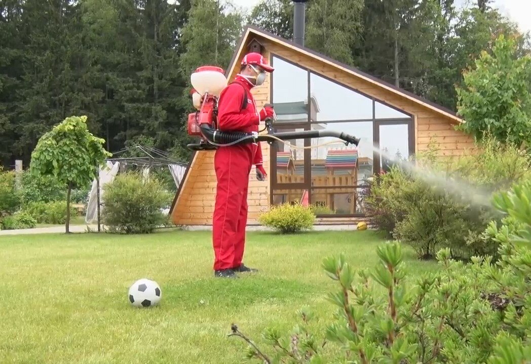 обработка участка от клещей, обработка участка от клещей, комаров, ос, кротов, дезинсекция клещей на участке, опрыскивание от клещей, дератизация от кротов