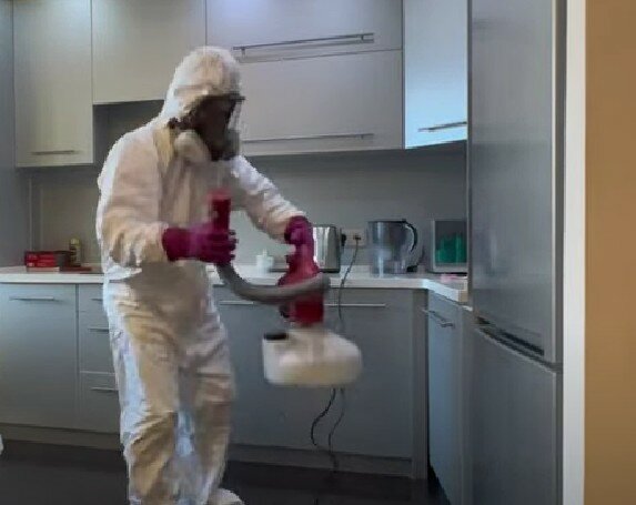 дезинсекция, дезинфекция, дезинфекция дезинсекция дератизация, дезинфекция от клопов, дезинфекция и дезинсекция