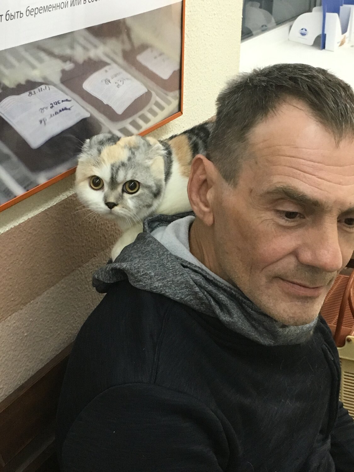 Александр Александров