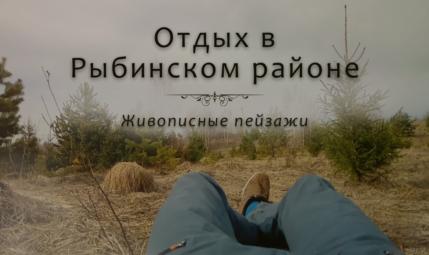 люди, природа, person, поле, текст
