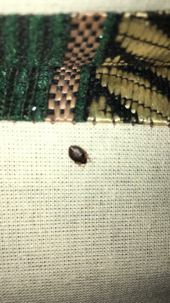 техника, вышивание, текстиль, вышивка, техника гобелен вышивка