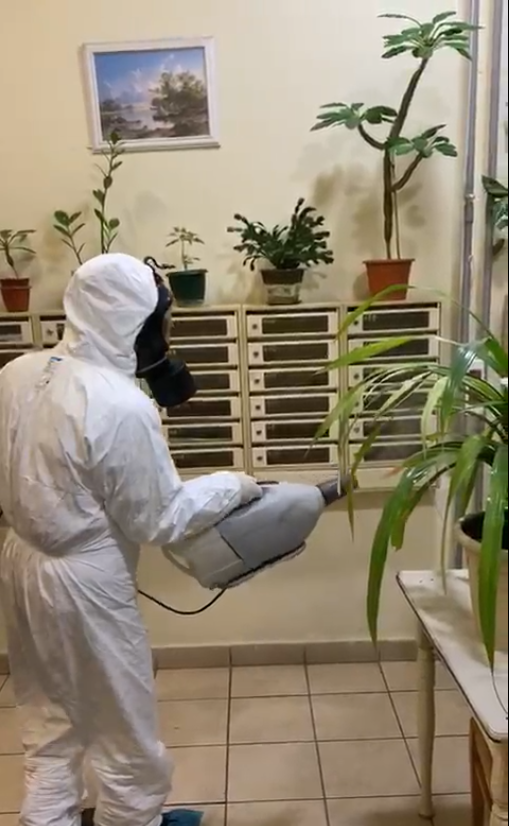 дезинсекция, уничтожение клопов, уничтожение клопов ульяновск, санэпидемстанция уничтожение клопов москва, дезинсекция клопов туманом