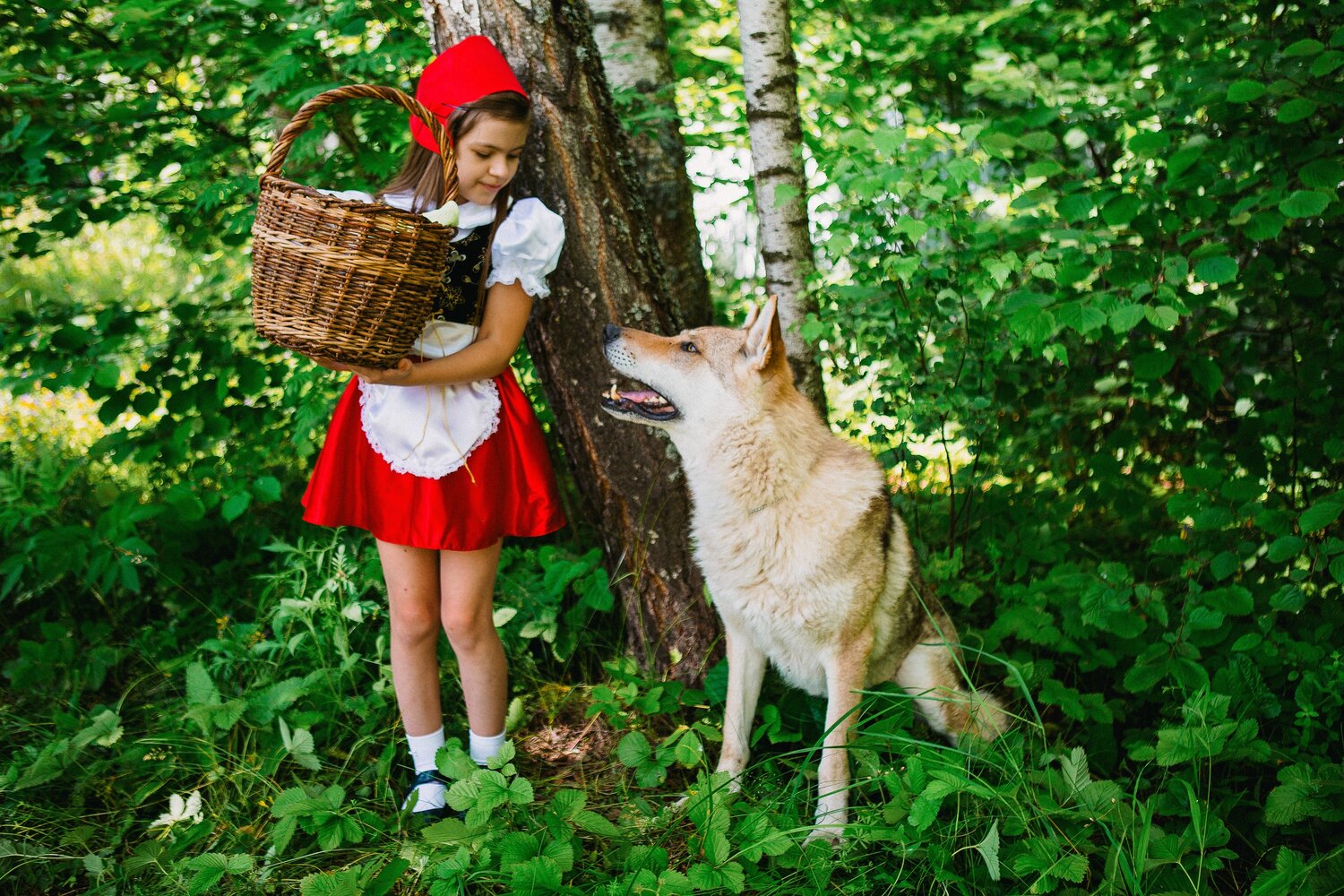 красная шапочка, красная шапочка 21, красная шапочка с косичками, сказки красной шапочки, красная шапочка и серый волк ручной работы