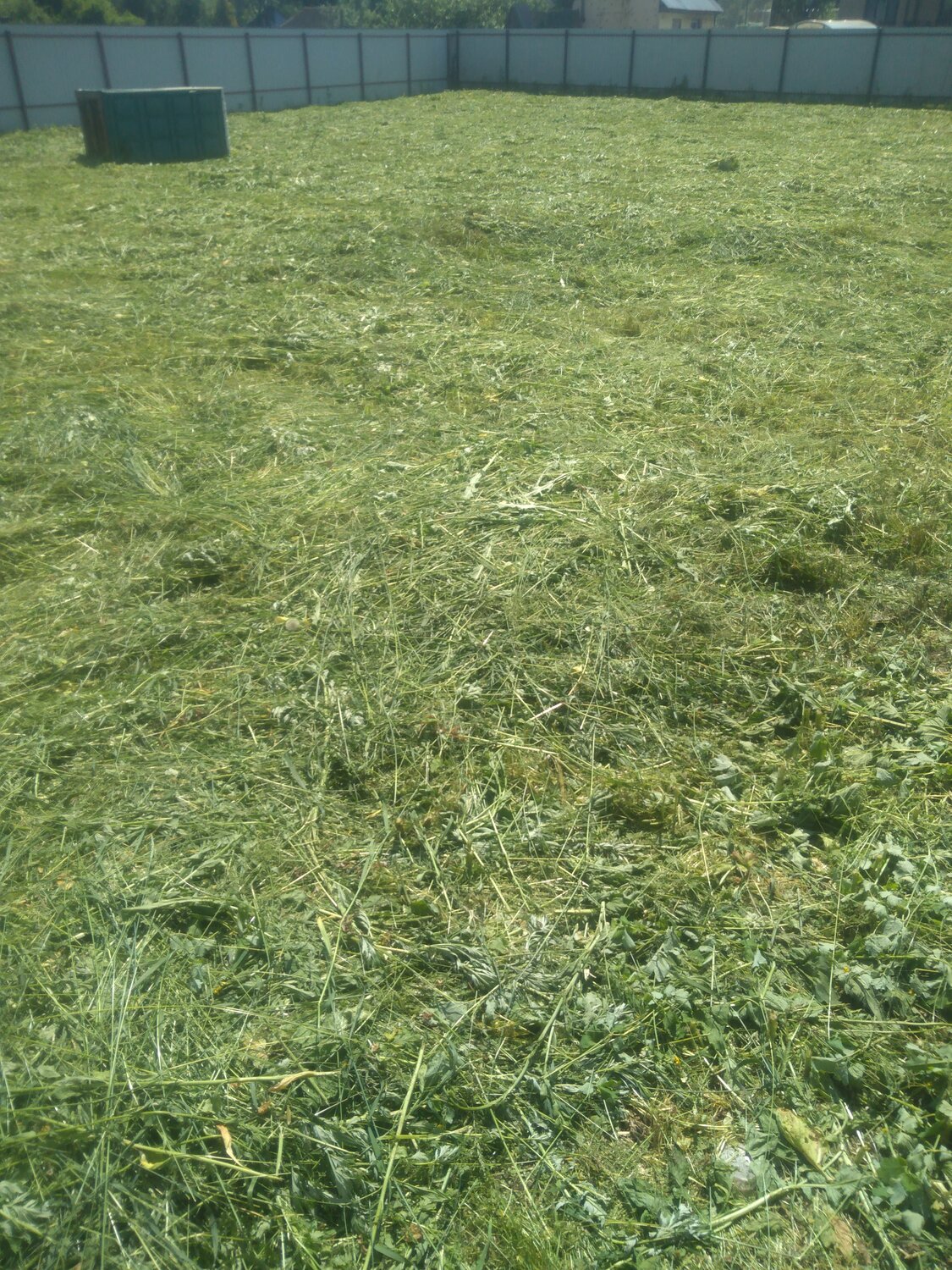 lawn grass, газон, земельный участок, скошенная трава, трава
