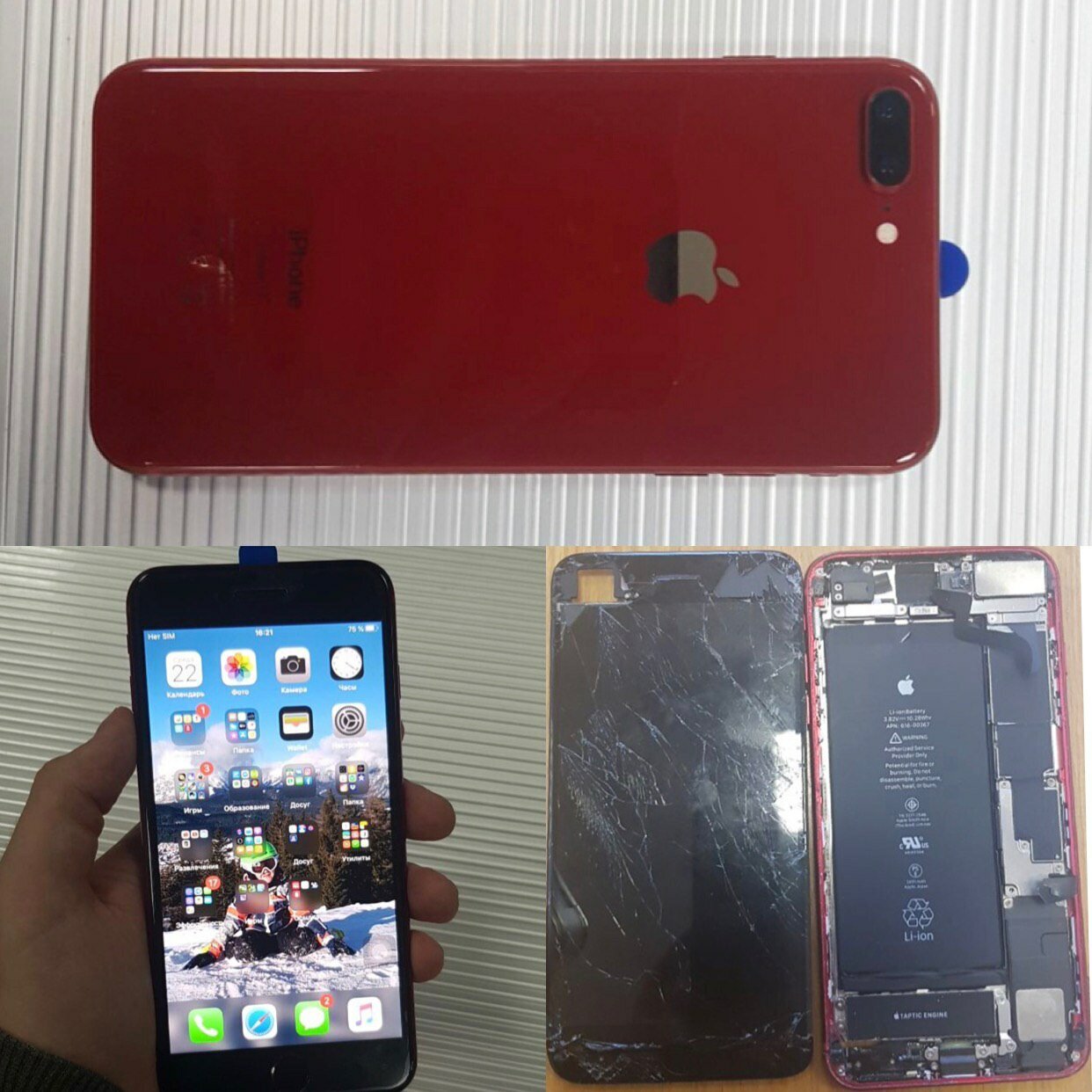 айфон 7 плюс red, iphone 8+ red, айфон 7 plus 256 гб, iphone 7 plus red вживую, айфон 8 плюс красный передняя