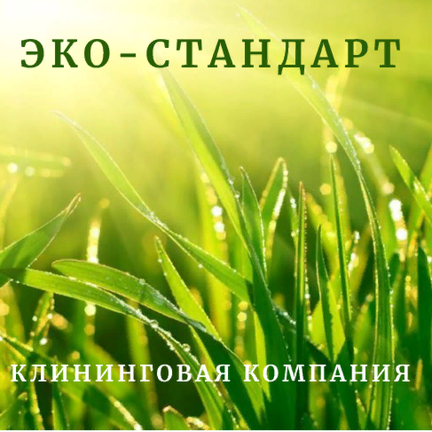 Эко-Стандарт