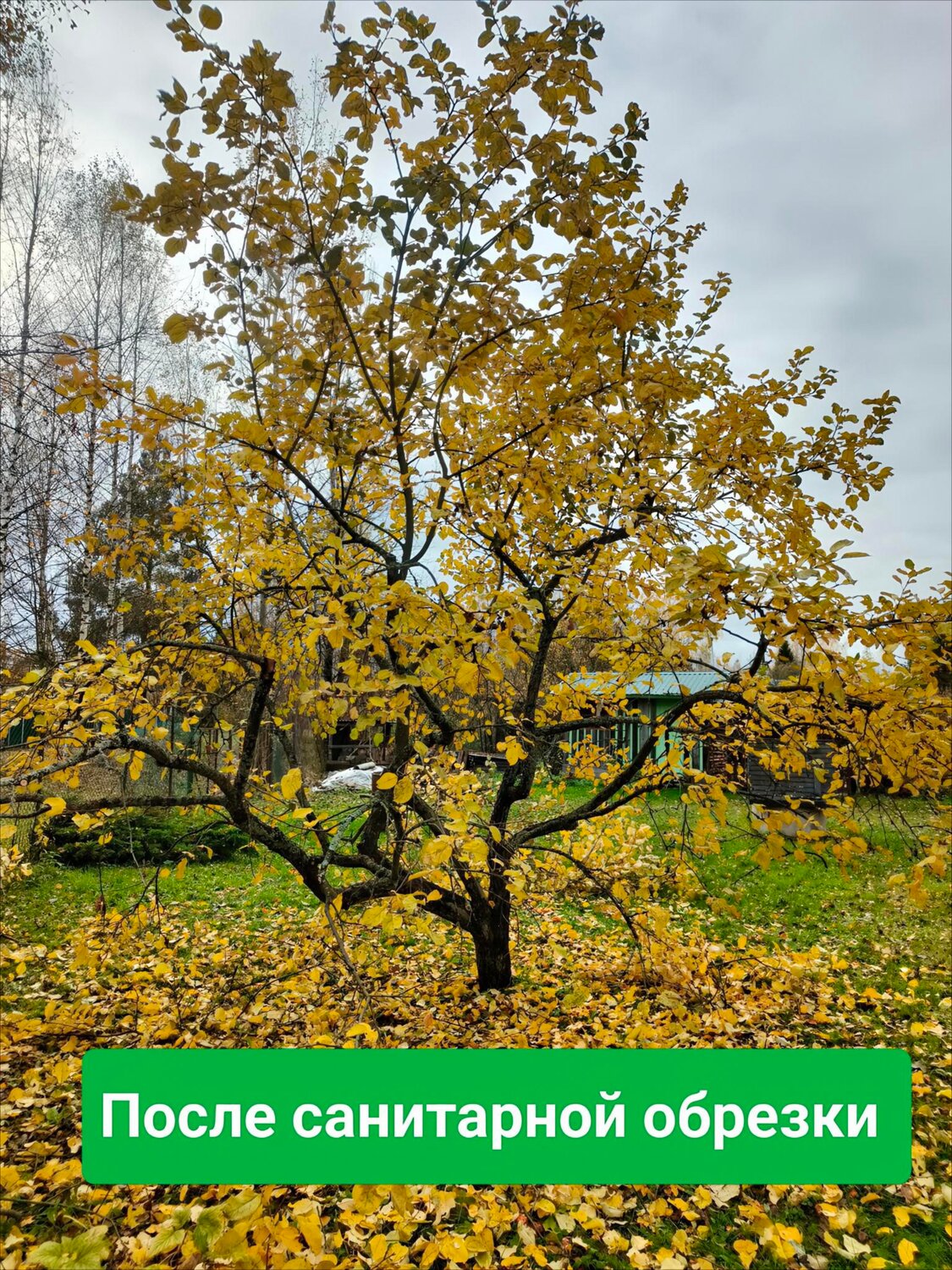 ����������, �������������� ����������, ������������ ����������, ���������� ����������, �������������� ������������