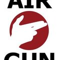 Air-gun