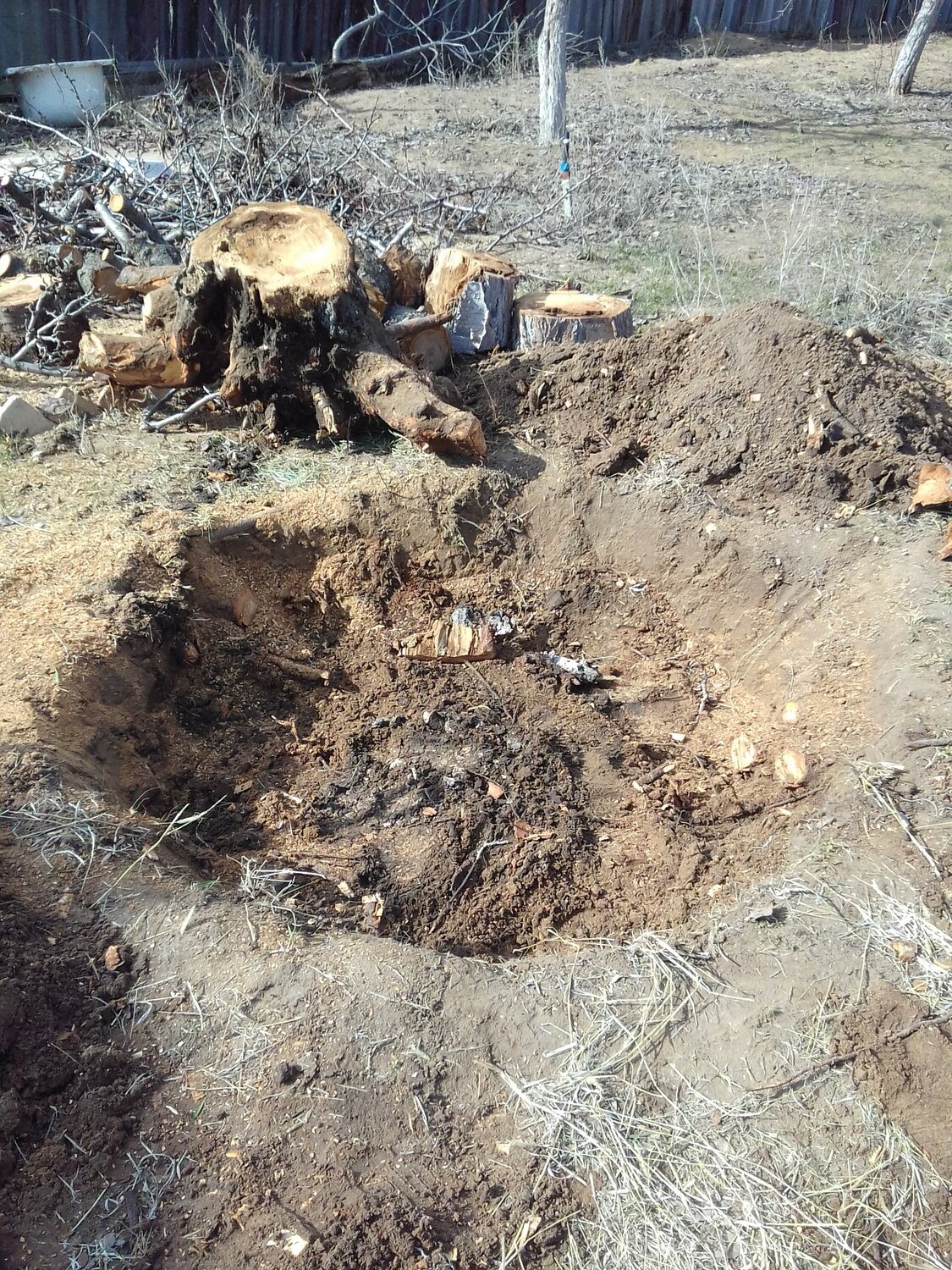 каргалы раскопки, захоронения раскопки второй мировой войны, раскопки, военная археология, всехсвятское кладбище раскопки