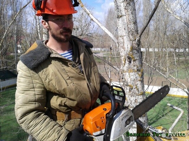 вальщик деревьев, вальщик леса, stihl лесоруб, валка деревьев, спил деревьев