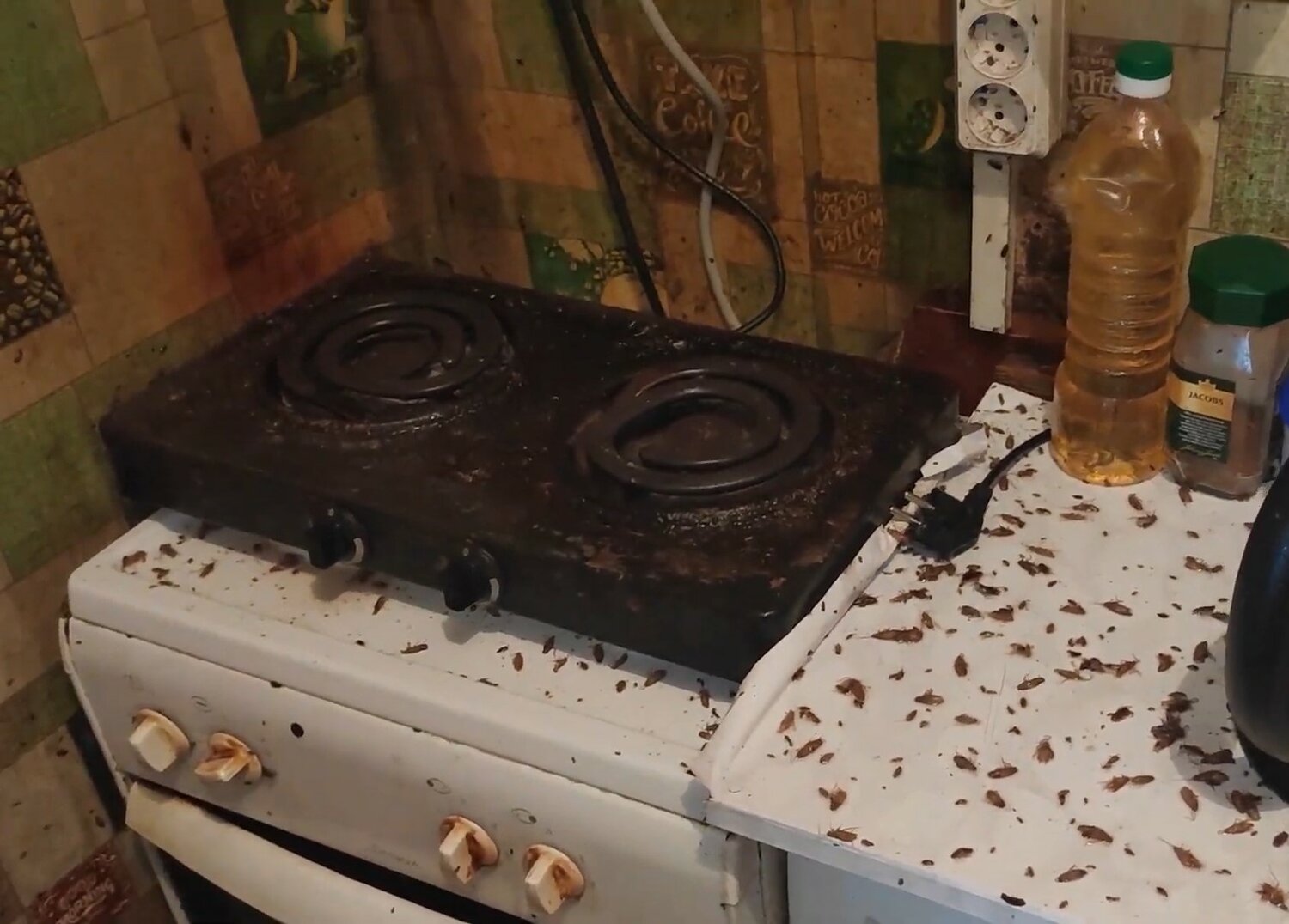 мечта плита, бытовая техника, эл плита, плита, кухня плита