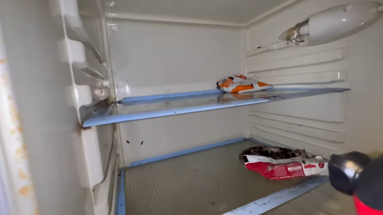 холодильник бу, холодильник открытый пустой, холодильник, пустой холодильник, открытый холодильник