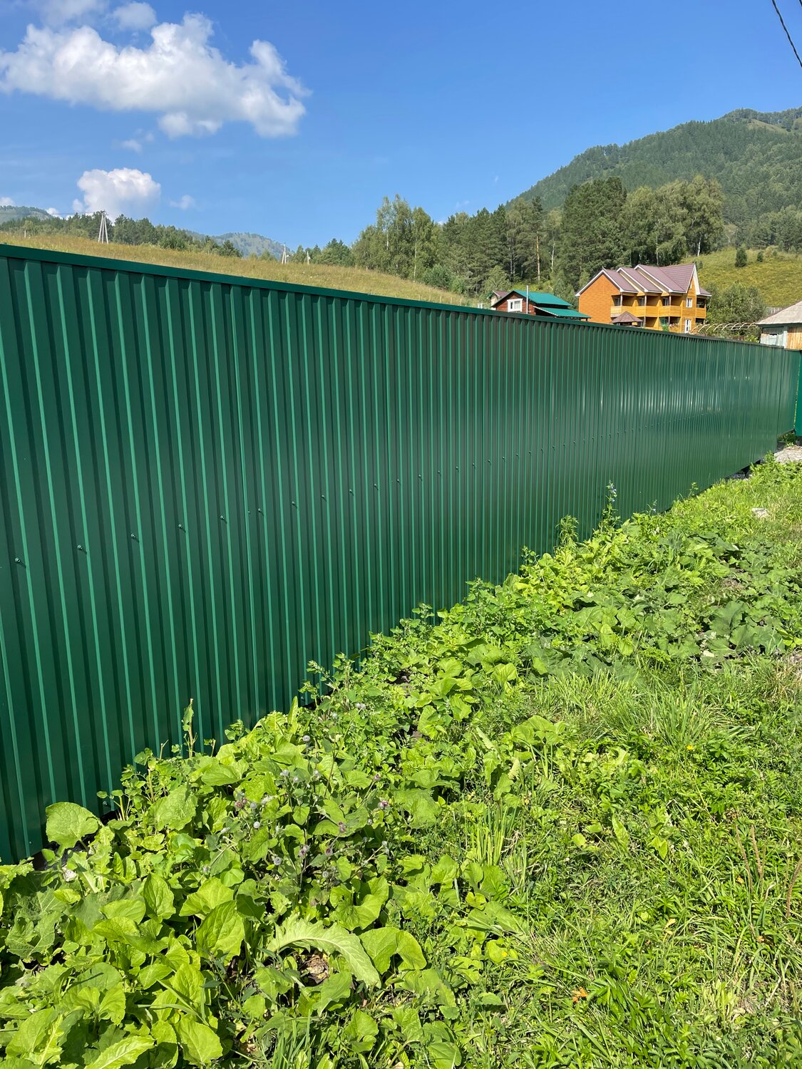 забор из профлиста н60, забор из профлиста, зеленый забор из профнастила, забор из профнастила, забор профлист