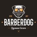 Barberdog