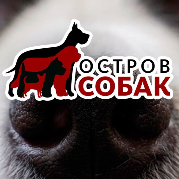 Остров собак