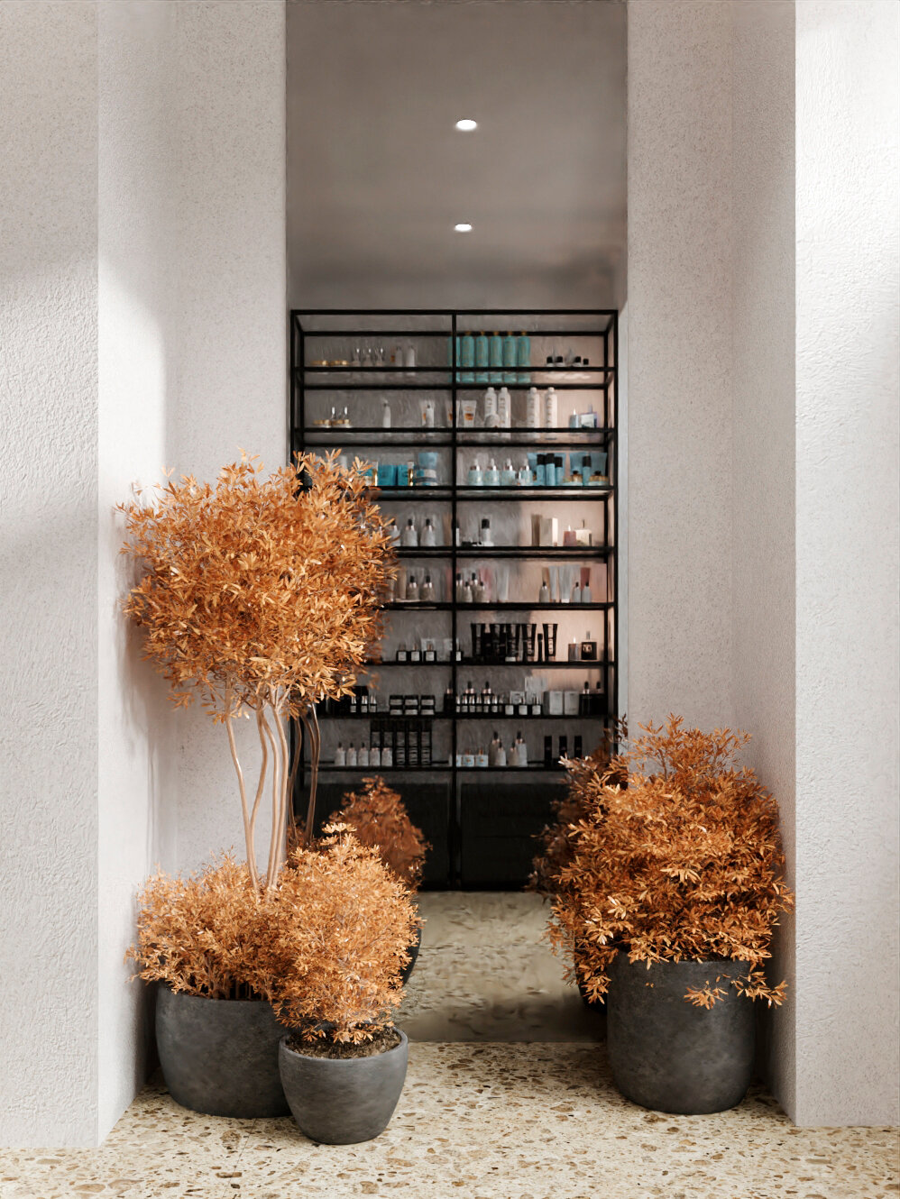 интерьер бутика, интерьер, дизайн интерьера, растения, дизайн дома