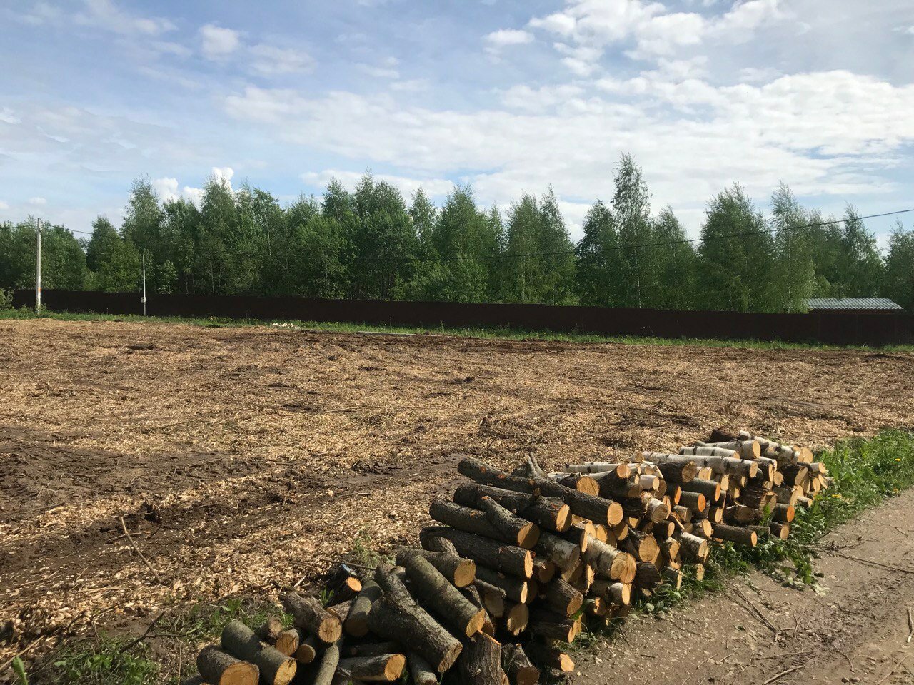 рубка, участок, земельный участок, площадь участка, рубка леса