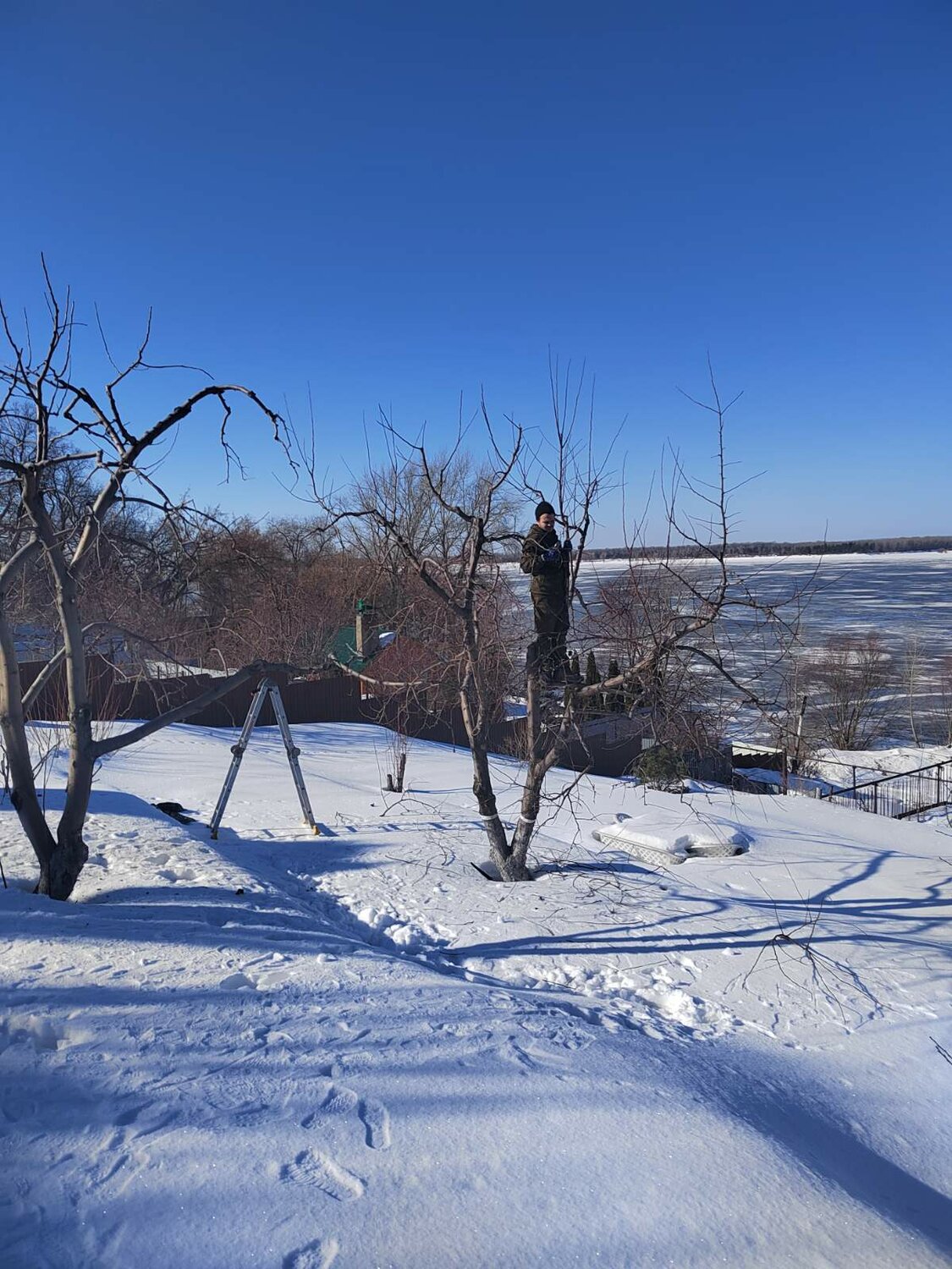 здание, пейзаж, участок, снег зима, закат на реке