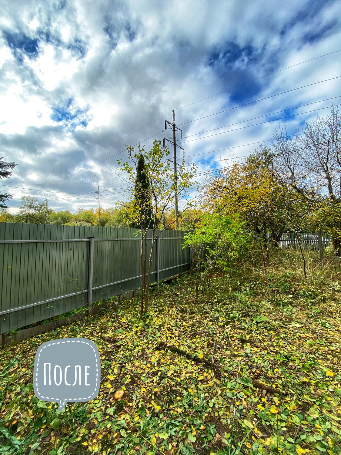 участок, дача, земельный участок, природа, участок в деревне