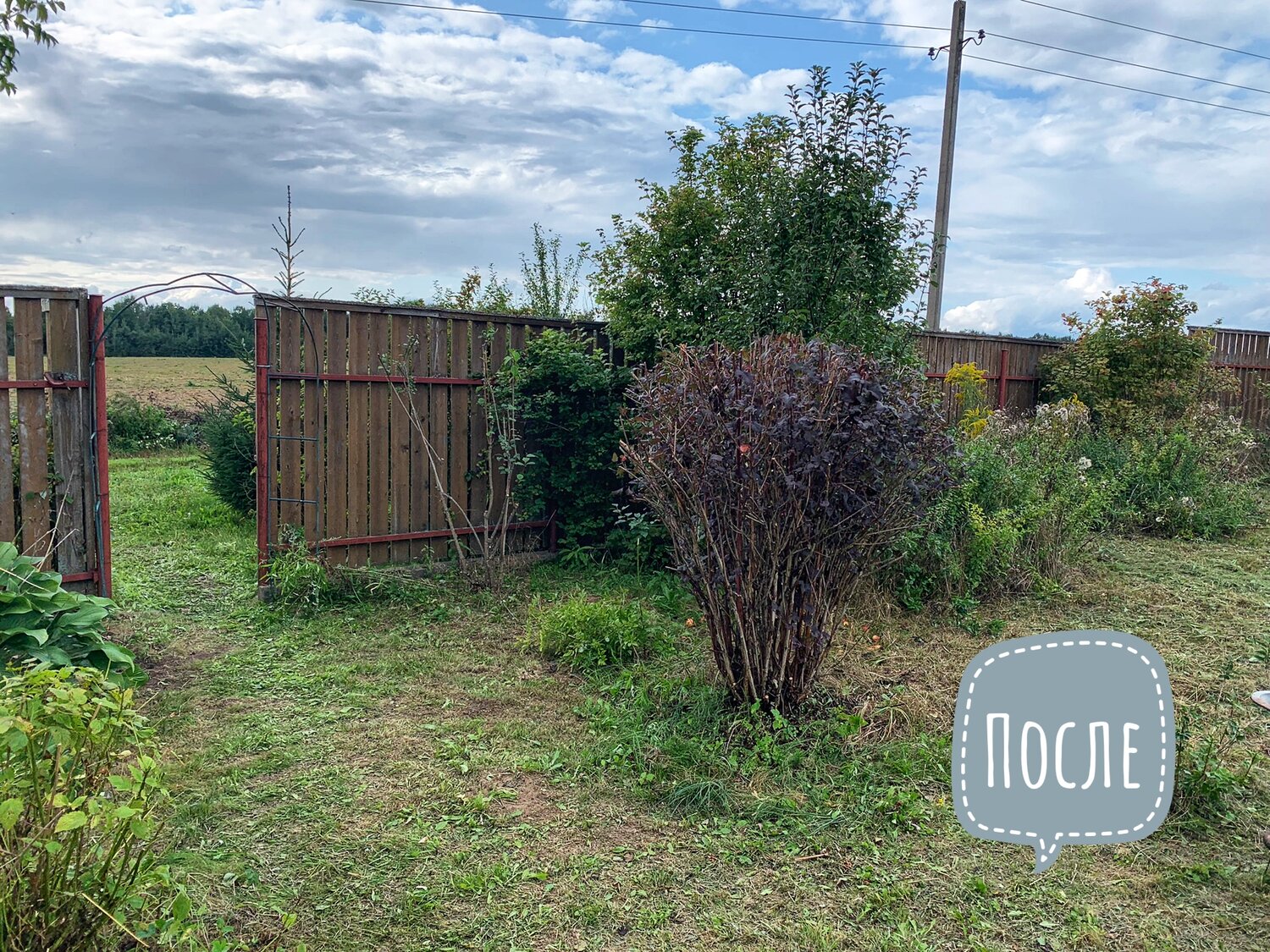 участок, участок в деревне, дача, садовое товарищество, дачный участок