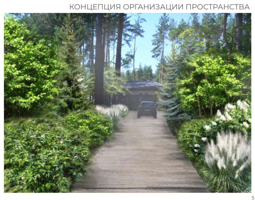 сад, сад в лесу, парк, озерный парк, ландшафт