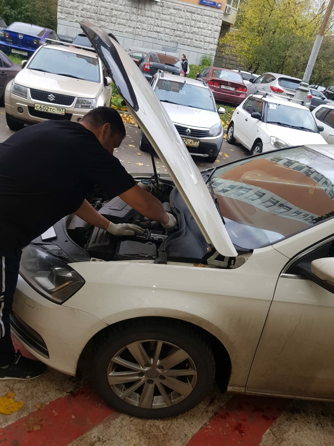 skoda octavia a 7, škoda octavia, škoda rapid, шкода октавия а 7, ремонт авто