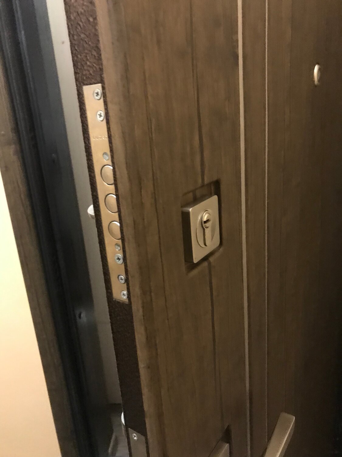 входная дверь, дверь, замок для входной двери, дверной замок, металлические двери
