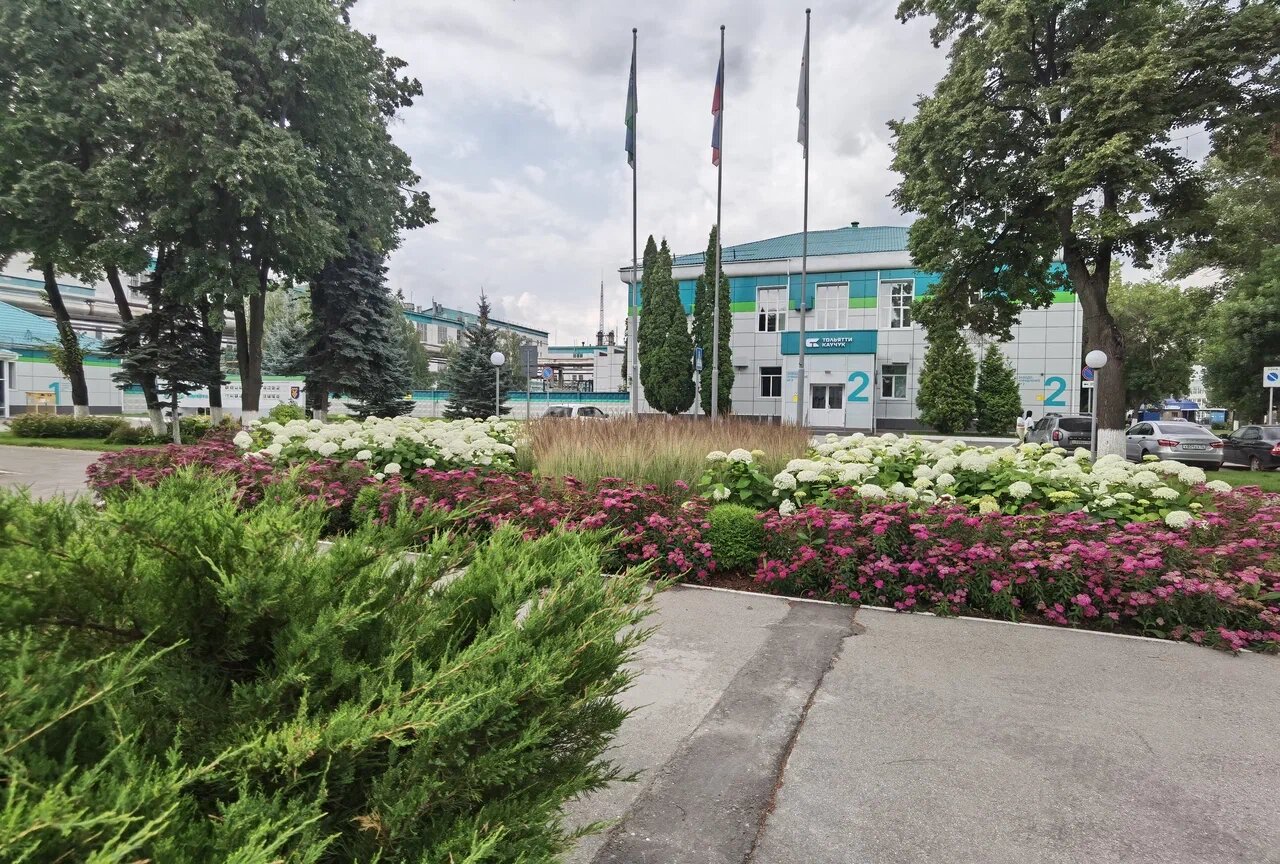 городские цветы, цветочная, г белореченск белореченский район краснодарский край, самара городские цветы, город барнаул