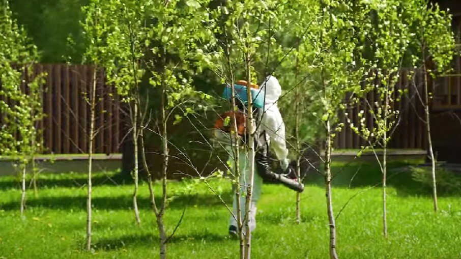 растение, опрыскивание деревьев, за деревьями, сад деревьев, садовые деревья