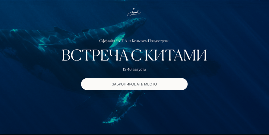 скриншот, кит горбач, про китов, кит, большие киты